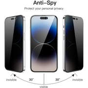 Glassology Privacy Screen Protector Black iPhone 16 Pro