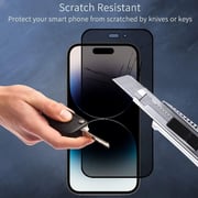 Glassology Privacy Screen Protector Black iPhone 16 Plus