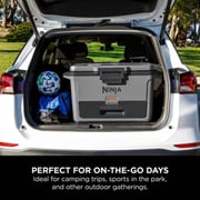 Ninja FrostVault Hard Bottle Cooler 47 Litres FB151UKGY