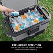 Ninja FrostVault Hard Bottle Cooler 47 Litres FB151UKGY
