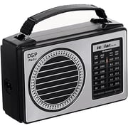 Isolar Portable Radio FM/AM IS-R805AC- Silver