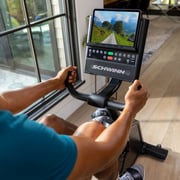 Schwinn 590R Recumbent Exercise Bike WN100953