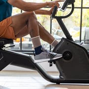 Schwinn 590R Recumbent Exercise Bike WN100953