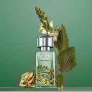 Salvatore Ferragamo Foreste Di Seta Perfume For Men & Women 100ml Eau de Parfum