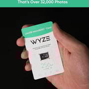 Wyze Expandable Storage MicroSDHC Card 256GB Black WYZEMSD256C10