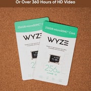 Wyze Expandable Storage MicroSDHC Card 256GB Black WYZEMSD256C10