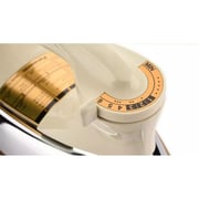 Panasonic Dry Iron NI-22AWTXJTB