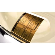 Panasonic Dry Iron NI-22AWTXJTB
