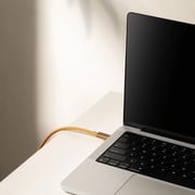 Native Union USB-C To USB-C Cable 2.4m Cosmos