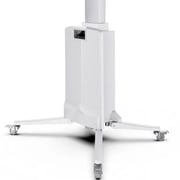 North Bayou Motorized TV Floor Stand Black