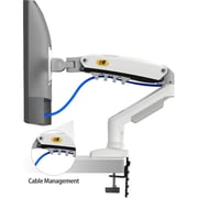 North Bayou Gas Spring Monitor Arm Wall Mount White