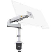 North Bayou Gas Spring Monitor Arm White