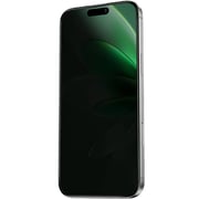 Green Lion Picasso 3D Privacy Screen Protector Black iPhone 16 Pro