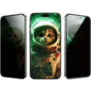 Green Lion Picasso 3D Privacy Screen Protector Black iPhone 16 Pro