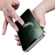 Green Lion Picasso 3D Privacy Screen Protector Black iPhone 16 Pro