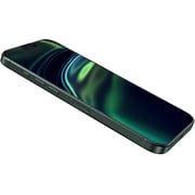 Green Lion 3D Silicone Plus Advanced Privacy Edge Screen Protector Black/Clear iPhone 16 Pro Max