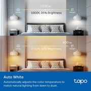 TP-Link Tapo L535E Smart WiFi Light Bulb 9.5W