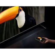 Xiaomi L75MA-SPLME S Mini LED Smart Television 75inch (2025 Model)