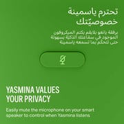 Yasmina Lite AI Smart Bluetooth Speaker Green - Y-00026