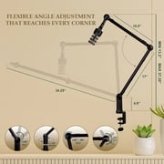 Ixtech Adjustable Mic Arm Desk Mount Black