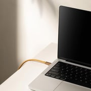 Native Union USB-C To USB-C Cable 2.4m Slate Green