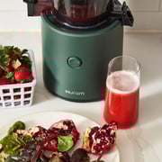 Hurom Ultra Low Pulp Slow Juicer H320N-GRN