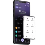 Ledger Stax Crypto Wallet Black - LDG-STAX-ENARTK