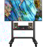 Rfiver Heavy Duty Mobile TV Stand Black