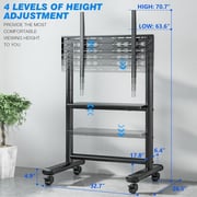 Rfiver Heavy Duty Mobile TV Stand Black