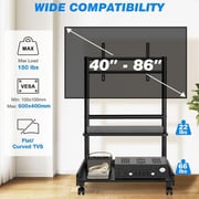Rfiver Mobile TV Cart Rolling TV Stand Black