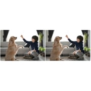 Xiaomi BHR8683GL C301 Smart Camera