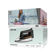 Green Lion Vintage Steam Iron BX144