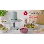 Moulinex Chopper DJ603127