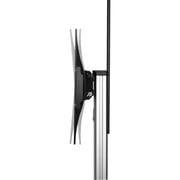 Newstar Height Adjustable TV Stand Silver/Black
