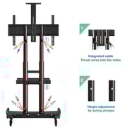 Newstar Sturdy TV Cart Stand Black