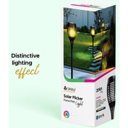 Rafeed ZR20424 LED Garden Light