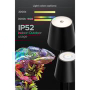 Rafeed LM30445-C LED Table Lamp 3W