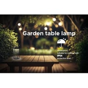 Rafeed LM30447-1 LED Table Lamp