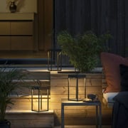 Rafeed LM30448-1 LED Table Lamp