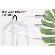 Rafeed LM30448-1 LED Table Lamp