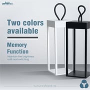 Rafeed LM30448-1 LED Table Lamp