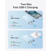 Anker Zolo Power Bank 20000mAh Black A1689H11