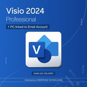 Microsoft Visio 2024 Professional 1 PC Digital License Blue