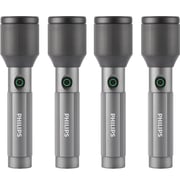 Philips SFL2142C4/56 Flash Light 24W 4 Pack