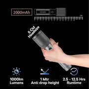 Philips SFL2142C4/56 Flash Light 24W 4 Pack