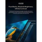 Haier 65inch C900UX QLED 4K UHD Google Television (2025 Model)
