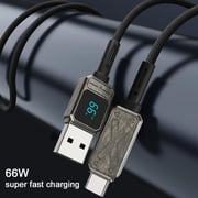 Wiwu Titan USB-C to USB-C Cable 1.2m, 100W Power Delivery, Tarnish-WI-C038CCTRN