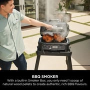 Ninja Woodfire Pro XL Electric BBQ Grill & Smoker OG850ME