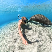 Insta360 Invisible Dive Case Clear - INST-CINSBBQJ