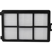 Polaris Filters Black White - PVCF 2043 AS